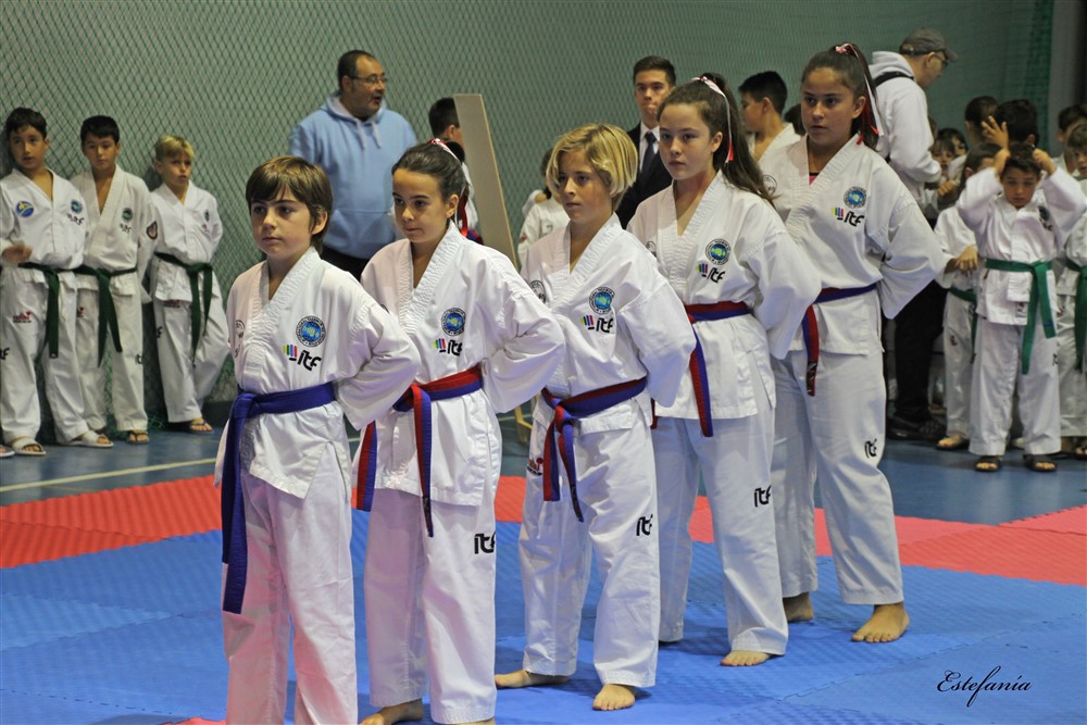 Copa Seul 2018 (327).jpg